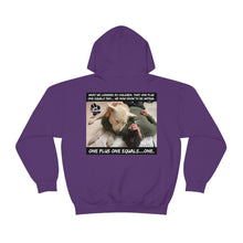 Load image into Gallery viewer, Unisex Heavy Blend Hooded Sweatshirt. 8 colors.