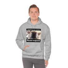 Load image into Gallery viewer, Unisex Heavy Blend “I showed you my squeaky” hoodie. 8 colors!