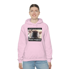 Load image into Gallery viewer, Unisex Heavy Blend “I showed you my squeaky” hoodie. 8 colors!