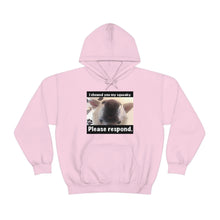 Load image into Gallery viewer, Unisex Heavy Blend “I showed you my squeaky” hoodie. 8 colors!