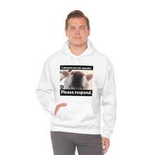 Load image into Gallery viewer, Unisex Heavy Blend “I showed you my squeaky” hoodie. 8 colors!
