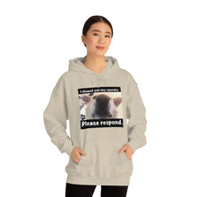 Load image into Gallery viewer, Unisex Heavy Blend “I showed you my squeaky” hoodie. 8 colors!