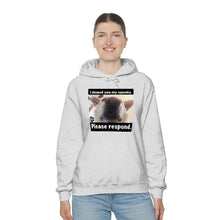Load image into Gallery viewer, Unisex Heavy Blend “I showed you my squeaky” hoodie. 8 colors!