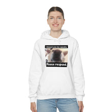 Load image into Gallery viewer, Unisex Heavy Blend “I showed you my squeaky” hoodie. 8 colors!
