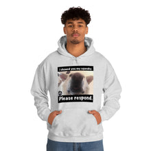Load image into Gallery viewer, Unisex Heavy Blend “I showed you my squeaky” hoodie. 8 colors!