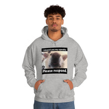 Load image into Gallery viewer, Unisex Heavy Blend “I showed you my squeaky” hoodie. 8 colors!