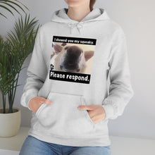 Load image into Gallery viewer, Unisex Heavy Blend “I showed you my squeaky” hoodie. 8 colors!