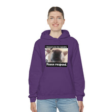 Load image into Gallery viewer, Unisex Heavy Blend “I showed you my squeaky” hoodie. 8 colors!