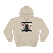 Load image into Gallery viewer, Unisex Heavy Blend “I showed you my squeaky” hoodie. 8 colors!