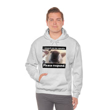 Load image into Gallery viewer, Unisex Heavy Blend “I showed you my squeaky” hoodie. 8 colors!