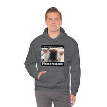 Load image into Gallery viewer, Unisex Heavy Blend “I showed you my squeaky” hoodie. 8 colors!