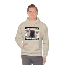 Load image into Gallery viewer, Unisex Heavy Blend “I showed you my squeaky” hoodie. 8 colors!