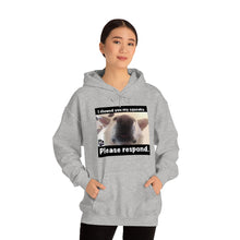 Load image into Gallery viewer, Unisex Heavy Blend “I showed you my squeaky” hoodie. 8 colors!