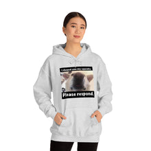 Load image into Gallery viewer, Unisex Heavy Blend “I showed you my squeaky” hoodie. 8 colors!