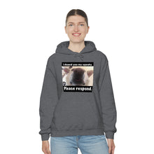 Load image into Gallery viewer, Unisex Heavy Blend “I showed you my squeaky” hoodie. 8 colors!