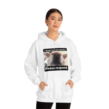Load image into Gallery viewer, Unisex Heavy Blend “I showed you my squeaky” hoodie. 8 colors!