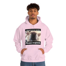 Load image into Gallery viewer, Unisex Heavy Blend “I showed you my squeaky” hoodie. 8 colors!