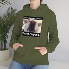 Load image into Gallery viewer, Unisex Heavy Blend “I showed you my squeaky” hoodie. 8 colors!