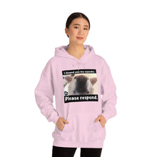 Load image into Gallery viewer, Unisex Heavy Blend “I showed you my squeaky” hoodie. 8 colors!