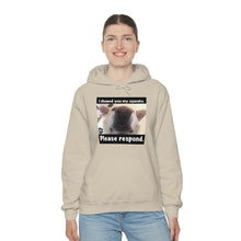 Load image into Gallery viewer, Unisex Heavy Blend “I showed you my squeaky” hoodie. 8 colors!