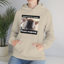 Load image into Gallery viewer, Unisex Heavy Blend “I showed you my squeaky” hoodie. 8 colors!