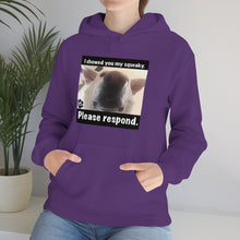 Load image into Gallery viewer, Unisex Heavy Blend “I showed you my squeaky” hoodie. 8 colors!