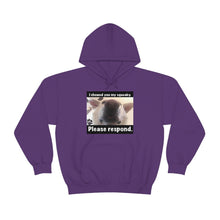 Load image into Gallery viewer, Unisex Heavy Blend “I showed you my squeaky” hoodie. 8 colors!