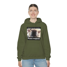 Load image into Gallery viewer, Unisex Heavy Blend “I showed you my squeaky” hoodie. 8 colors!