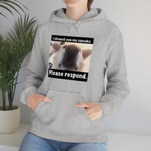 Load image into Gallery viewer, Unisex Heavy Blend “I showed you my squeaky” hoodie. 8 colors!