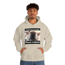 Load image into Gallery viewer, Unisex Heavy Blend “I showed you my squeaky” hoodie. 8 colors!