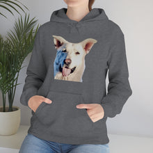 Load image into Gallery viewer, Unisex Heavy Blend Hooded Sweatshirt in 8 Colors!