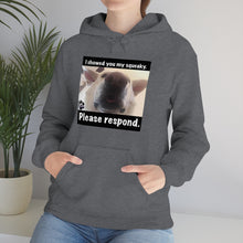 Load image into Gallery viewer, Unisex Heavy Blend “I showed you my squeaky” hoodie. 8 colors!