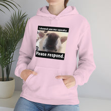 Load image into Gallery viewer, Unisex Heavy Blend “I showed you my squeaky” hoodie. 8 colors!