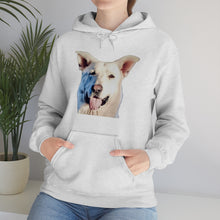 Load image into Gallery viewer, Unisex Heavy Blend Hooded Sweatshirt in 8 Colors!