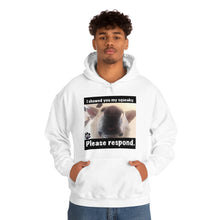 Load image into Gallery viewer, Unisex Heavy Blend “I showed you my squeaky” hoodie. 8 colors!