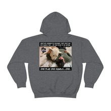Load image into Gallery viewer, Unisex Heavy Blend Hooded Sweatshirt. 8 colors.