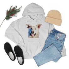 Load image into Gallery viewer, Unisex Heavy Blend Hooded Sweatshirt in 8 Colors!
