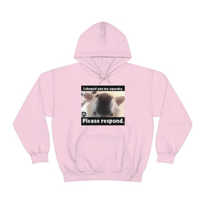 Unisex Heavy Blend “I showed you my squeaky” hoodie. 8 colors!