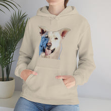 Load image into Gallery viewer, Unisex Heavy Blend Hooded Sweatshirt in 8 Colors!
