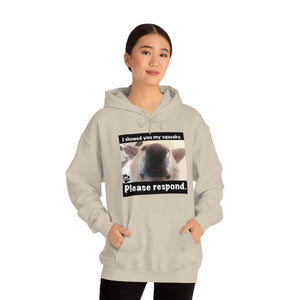 Unisex Heavy Blend “I showed you my squeaky” hoodie. 8 colors!