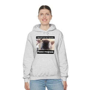 Unisex Heavy Blend “I showed you my squeaky” hoodie. 8 colors!