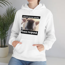 Load image into Gallery viewer, Unisex Heavy Blend “I showed you my squeaky” hoodie. 8 colors!
