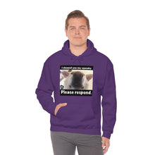 Load image into Gallery viewer, Unisex Heavy Blend “I showed you my squeaky” hoodie. 8 colors!
