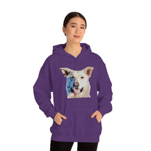 Load image into Gallery viewer, Unisex Heavy Blend Hooded Sweatshirt in 8 Colors!

