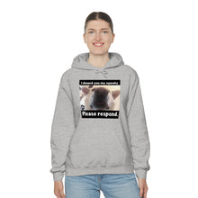 Load image into Gallery viewer, Unisex Heavy Blend “I showed you my squeaky” hoodie. 8 colors!
