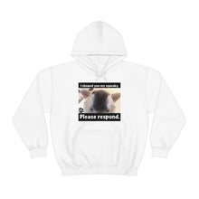 Load image into Gallery viewer, Unisex Heavy Blend “I showed you my squeaky” hoodie. 8 colors!
