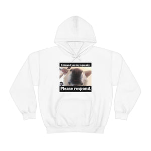 Unisex Heavy Blend “I showed you my squeaky” hoodie. 8 colors!