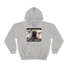 Load image into Gallery viewer, Unisex Heavy Blend “I showed you my squeaky” hoodie. 8 colors!
