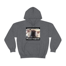 Load image into Gallery viewer, Unisex Heavy Blend “I showed you my squeaky” hoodie. 8 colors!
