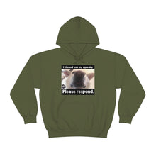 Load image into Gallery viewer, Unisex Heavy Blend “I showed you my squeaky” hoodie. 8 colors!
